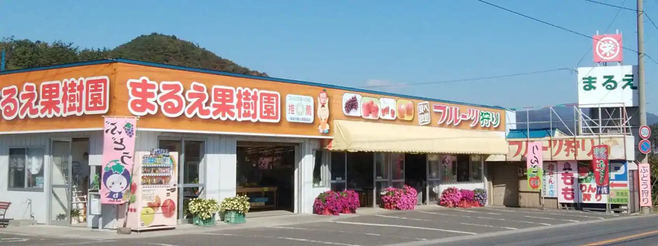 🌳 마루에 관광 과수원(마루에 칸코 카주엔) 이미지 3